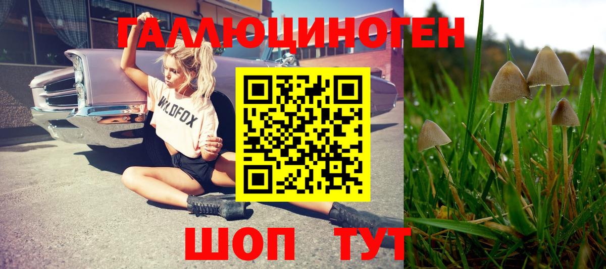 Горно-Алтайск  Галлюциногенные грибы ЛСД  Галлюциногенные грибы MAGIC MUSHROOMS  Вход с VPN 
